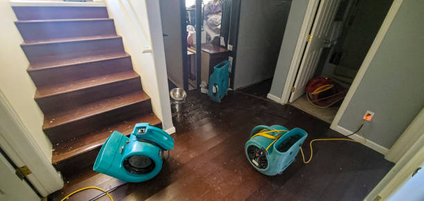 Reliable Maplewood, MN Water damage restoration Solutions