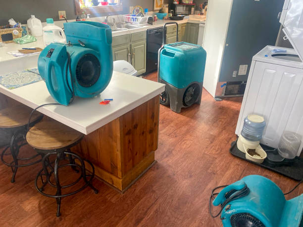 Best Water damage cleanup near me  in Maplewood, MN