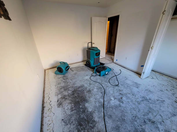Best Water damage restoration process  in Maplewood, MN