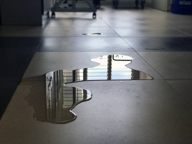 Best Water damage repair service  in Maplewood, MN