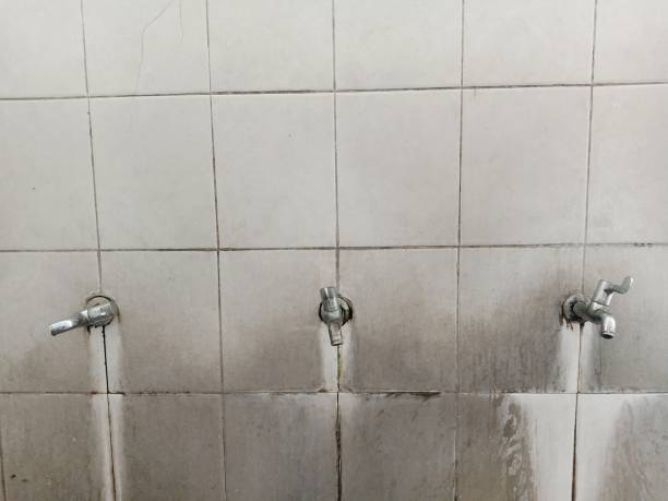 Best Mold removal after water damage  in Maplewood, MN