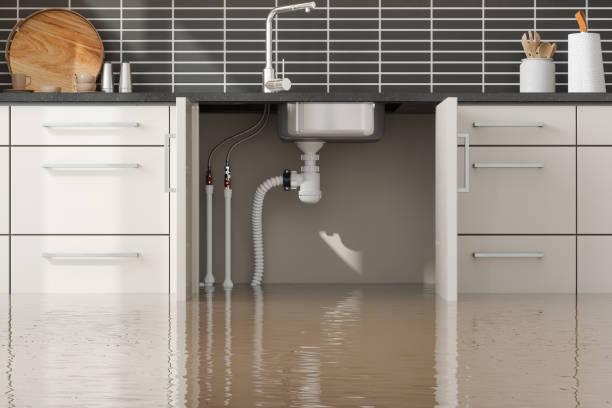 Best Carpet water damage restoration  in Maplewood, MN