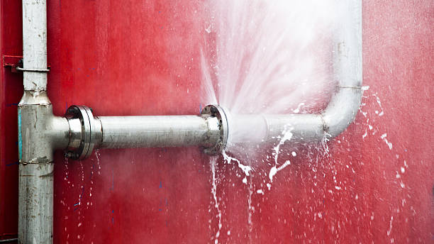 Best Water damage restoration specialists  in Maplewood, MN