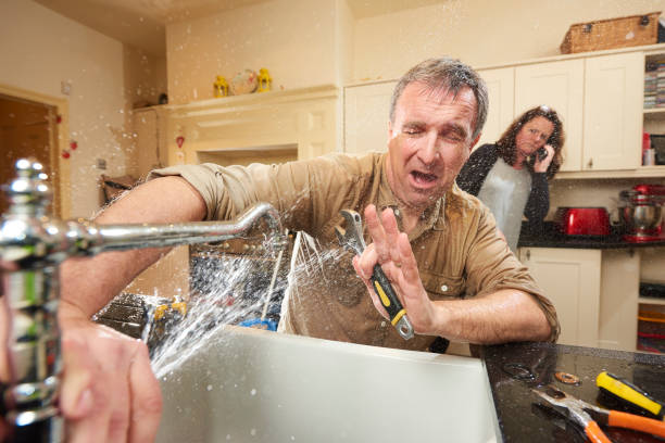 Best Residential water damage restoration  in Maplewood, MN